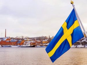 Над двумя атомными электростанциями в Швеции заметили дроны
